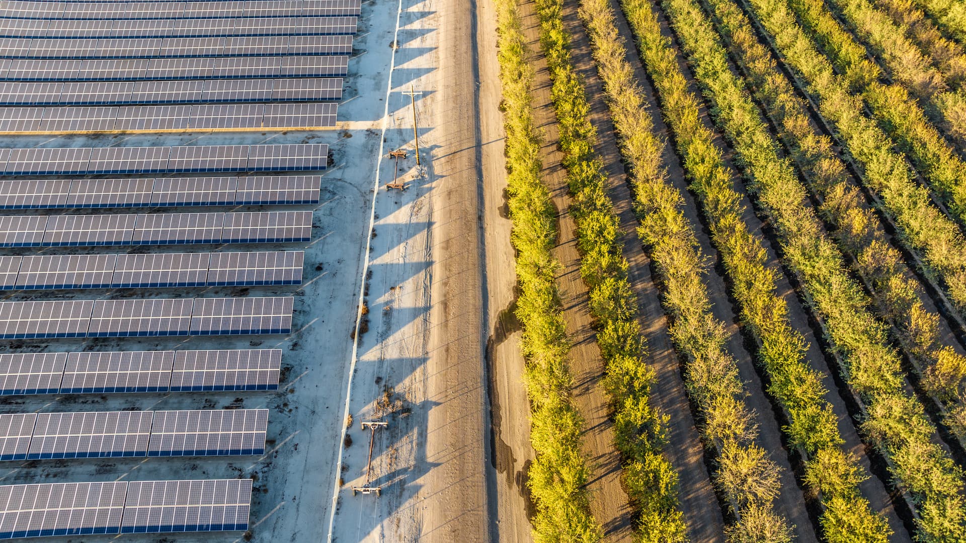 Dispositif expérimental agrivoltaïque de  de La Pugère